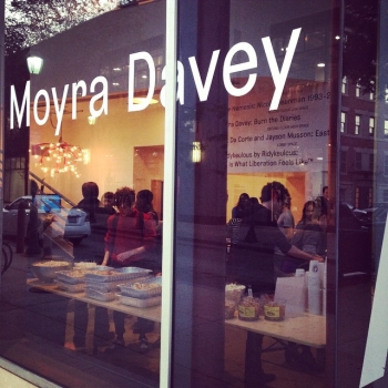 Moyra Davey Burn The Diaries A Review Arte Fuse